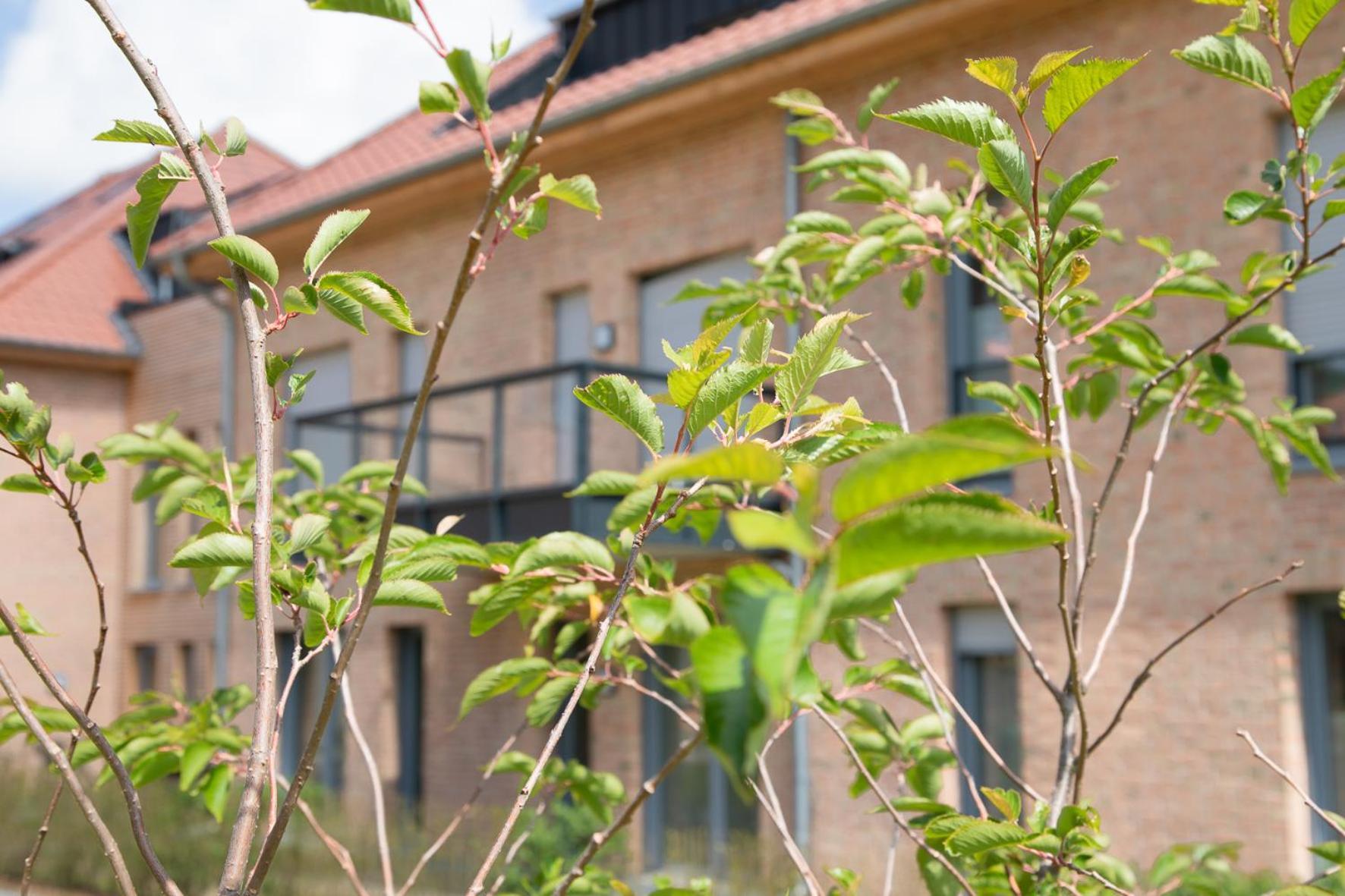 Wohnen am Südstrand - Ferienwohnung 0 3 Wyk auf Föhr Exterior foto