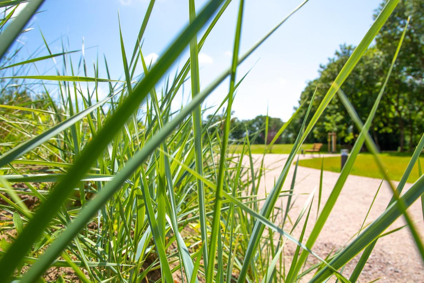Wohnen am Südstrand - Ferienwohnung 0 3 Wyk auf Föhr Exterior foto
